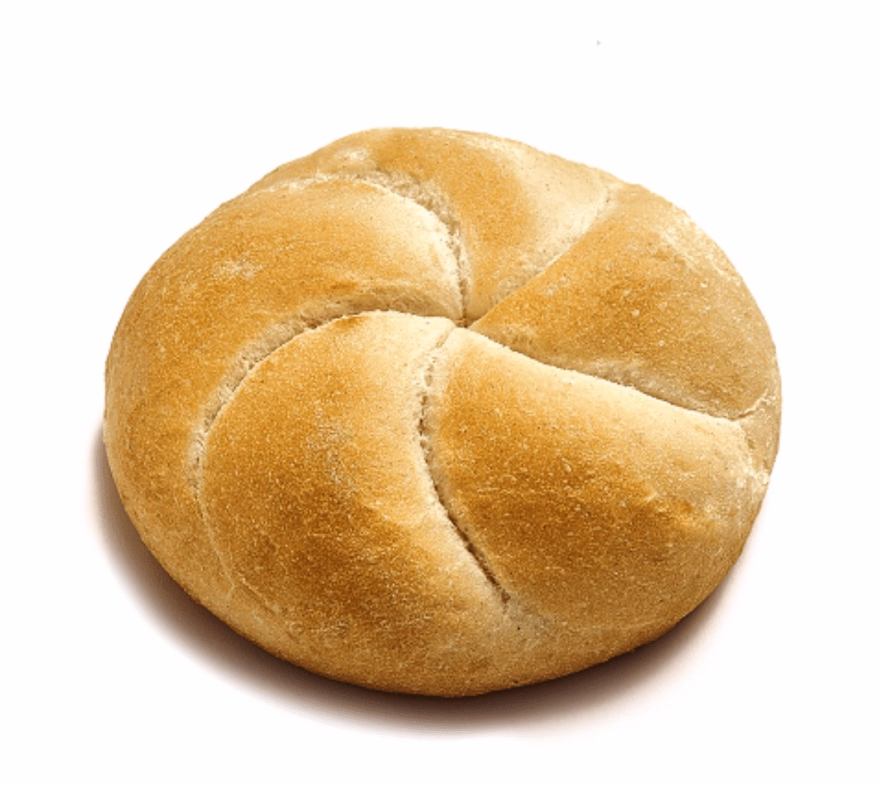 Buła